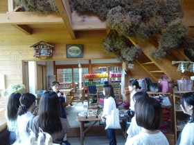 在yufun Flora House進行聽力調查