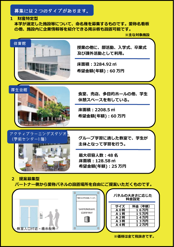 命名騎士招募傳單背面